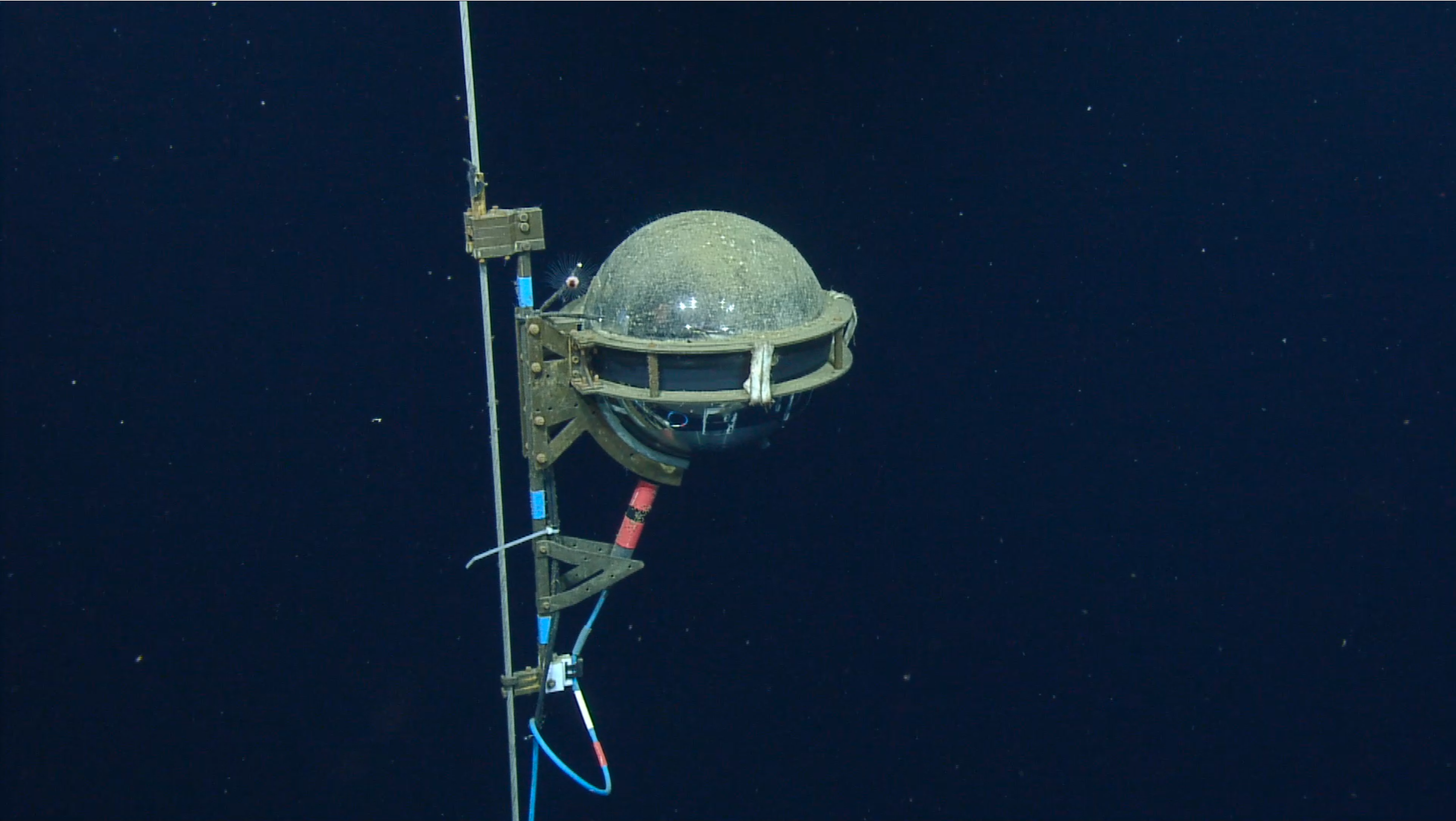 Studying the origins of the universe, under the sea