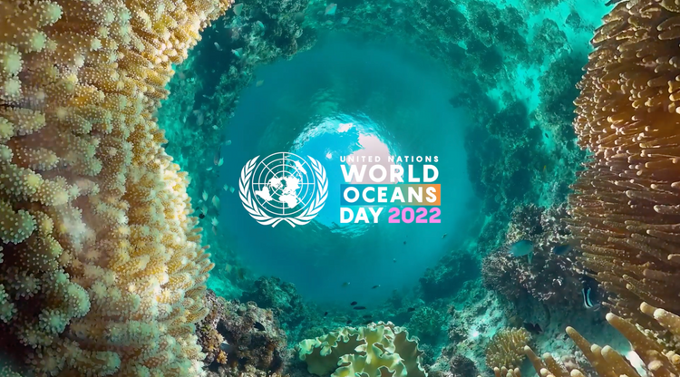 Revitalization: Collective Action for the Ocean