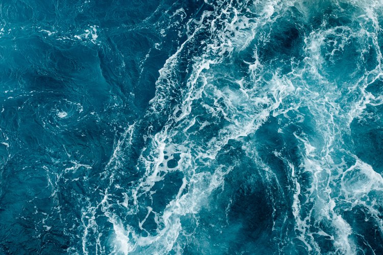 Oil & water fuels Ocean Networks Canada artistic residency